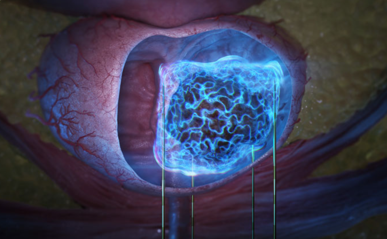 Screenshot 2025-03-13 224655