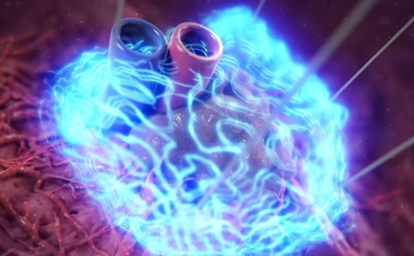 Screenshot 2025-03-13 224953